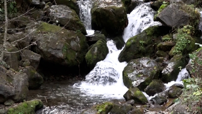 Karadeniz'de yağışlar azaldı, kuraklık tehlikesi arttı